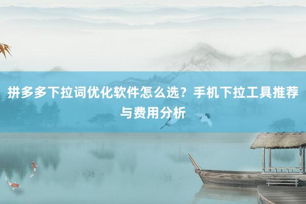 拼多多下拉词优化软件怎么选？手机下拉工具推荐与费用分析