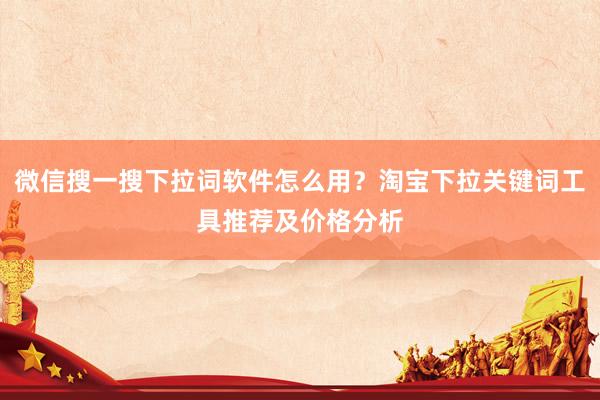 微信搜一搜下拉词软件怎么用？淘宝下拉关键词工具推荐及价格分析
