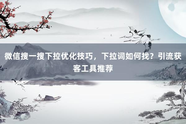 微信搜一搜下拉优化技巧，下拉词如何找？引流获客工具推荐