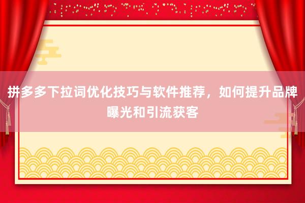 拼多多下拉词优化技巧与软件推荐，如何提升品牌曝光和引流获客