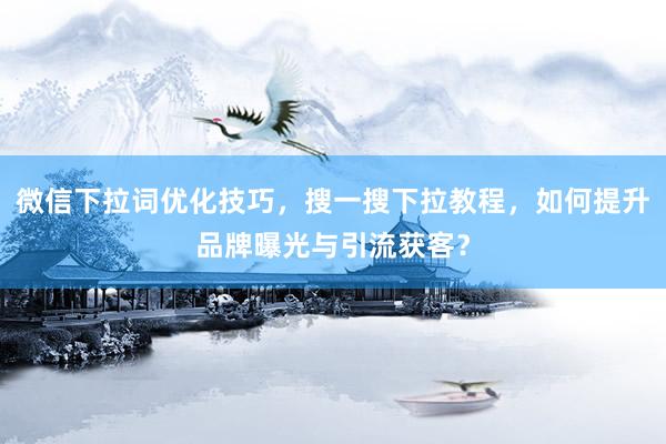 微信下拉词优化技巧，搜一搜下拉教程，如何提升品牌曝光与引流获客？