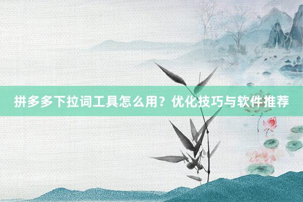 拼多多下拉词工具怎么用？优化技巧与软件推荐