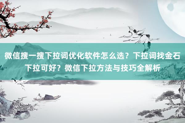 微信搜一搜下拉词优化软件怎么选？下拉词找金石下拉可好？微信下拉方法与技巧全解析