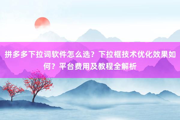 拼多多下拉词软件怎么选？下拉框技术优化效果如何？平台费用及教程全解析