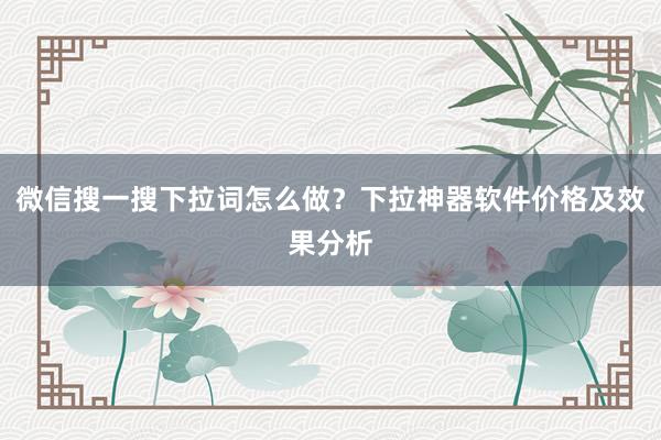 微信搜一搜下拉词怎么做？下拉神器软件价格及效果分析